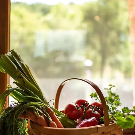 Casa De Lujo En La Ribeira Sacra San Martin (Lugo)