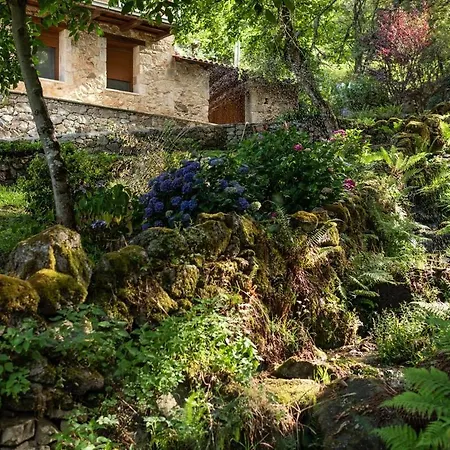 Casa De Lujo En La Ribeira Sacra San Martin (Lugo)