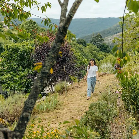 Casa De Lujo En La Ribeira Sacra *