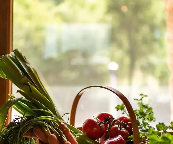 Casa De Lujo En La Ribeira Sacra San Martin (Lugo)