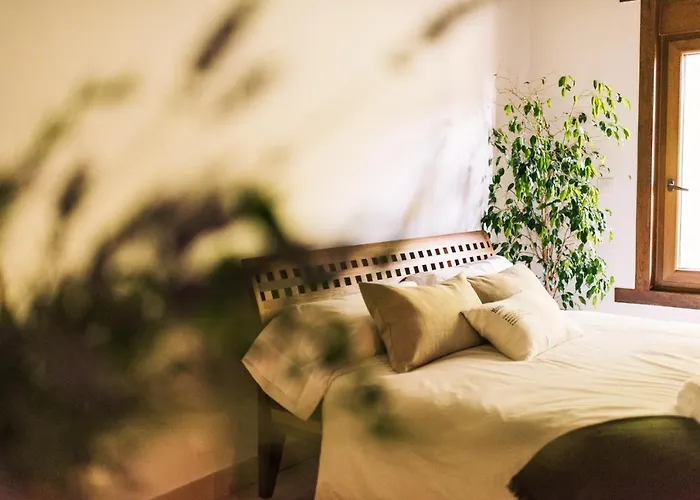 Casa De Lujo En La Ribeira Sacra * San Martin (Lugo)