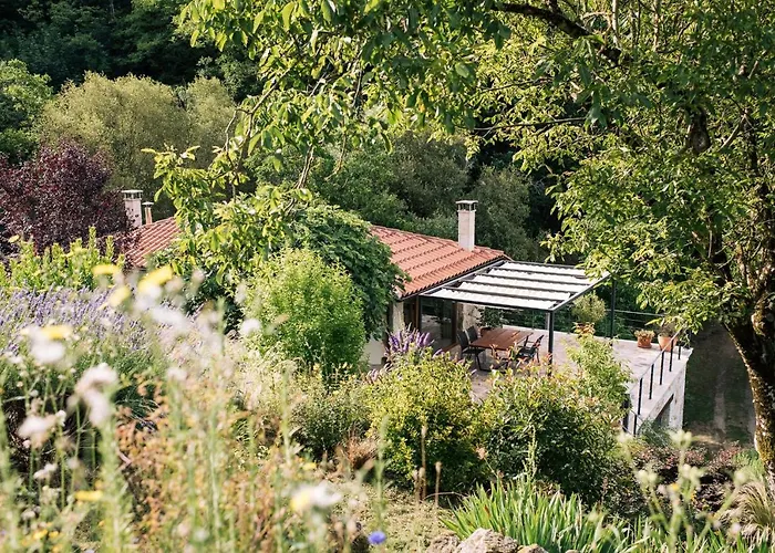 Βίλα Casa De Lujo En La Ribeira Sacra San Martin (Lugo)